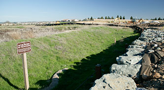 Natural Preserve, Lowe's Lincoln