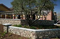 Starbuck's Planter, Skywest Commons, Hayward, CA